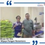 Jasa Kalibrasi Timbangan di PT. Wijaya Pangan Nusantara